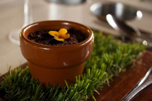 品茗时光隧道 一场跨越五百年的音乐盛宴与三百人共飨的茶香晚宴